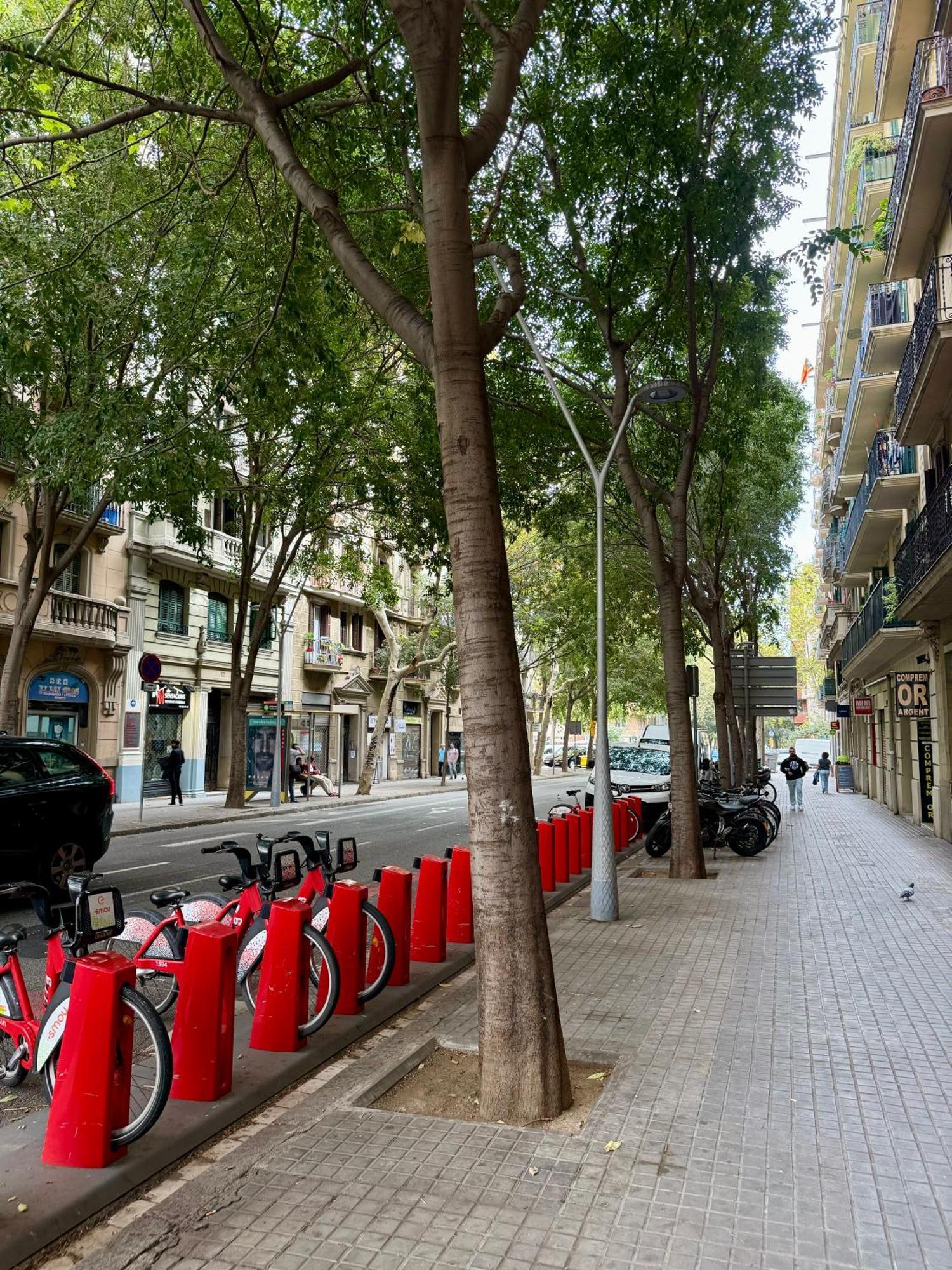 Newly Renovated Stylish Eixample - Great Location Barcelona Exterior photo